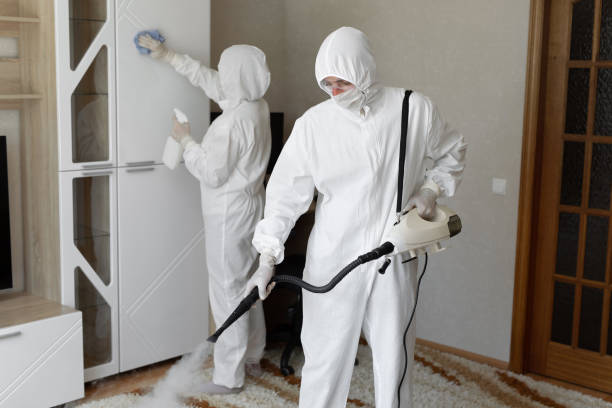 Office Mold Removal Services in Cridersville, OH